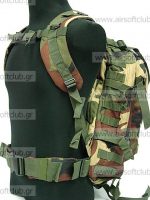 Molle Utility Backpack (WOODLAND)